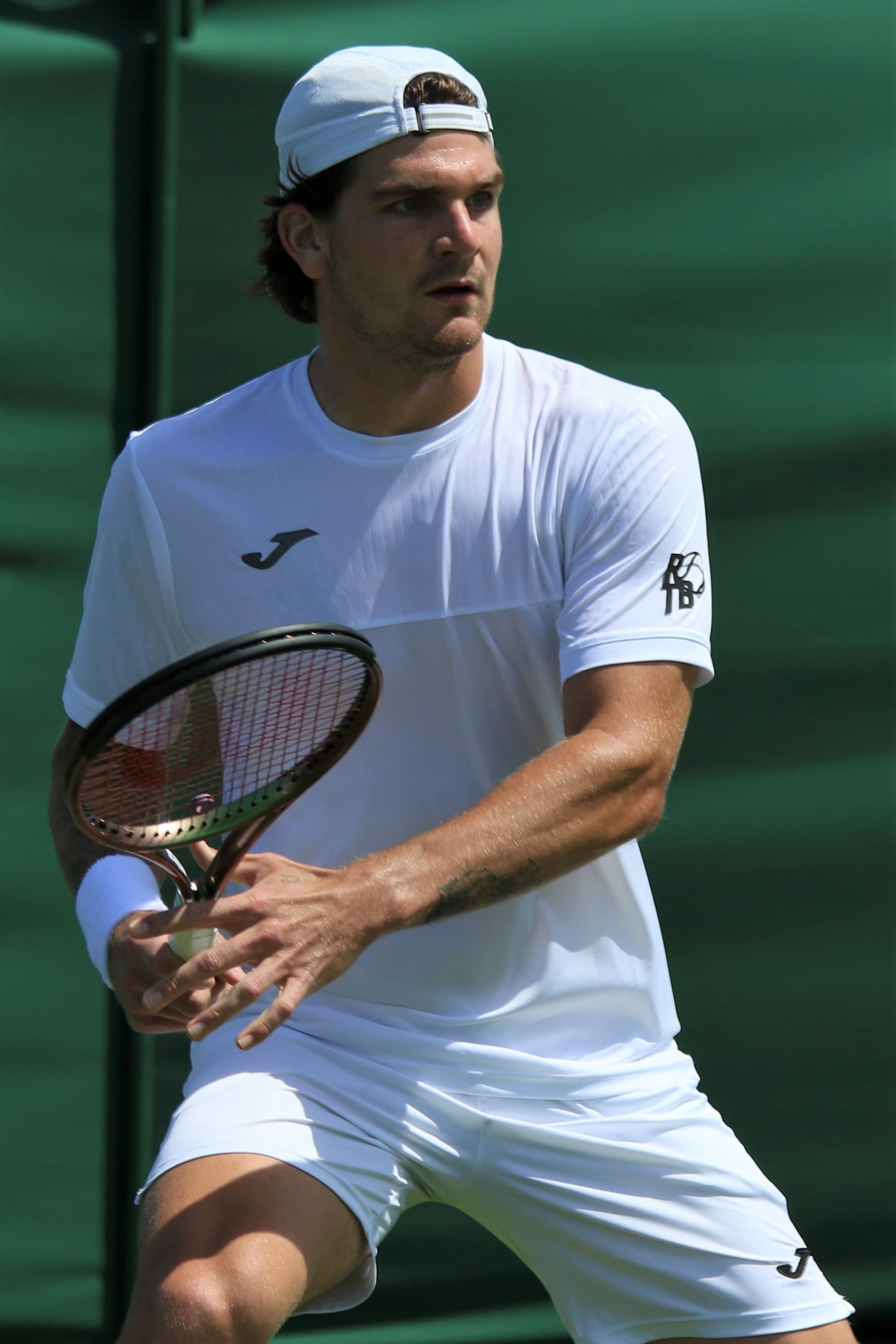 Seyboth Wild Thiago's profile picture